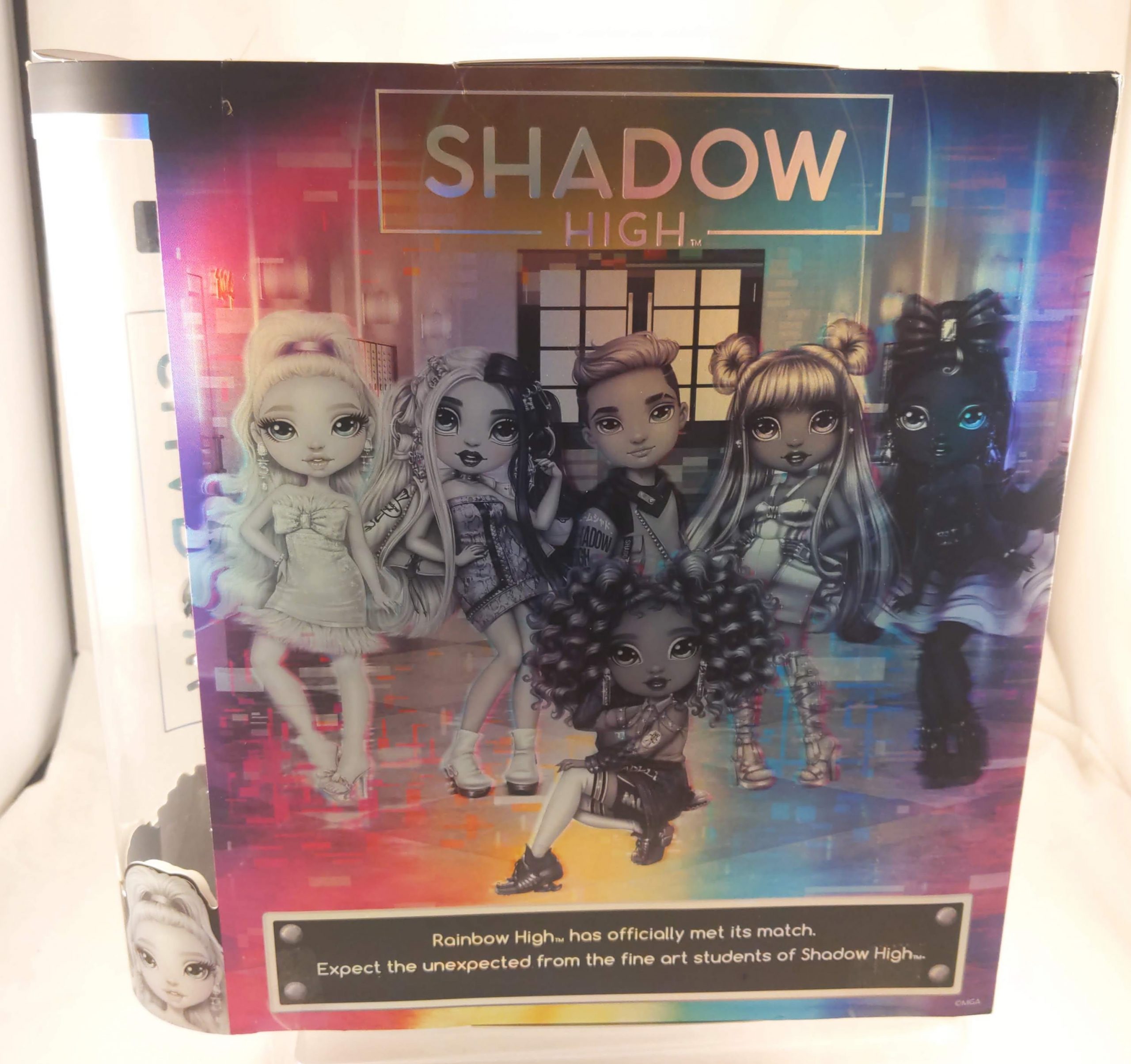 Rainbow High Shadow High series 1 dolls 